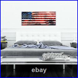 Plexiglas Giclee USA Art American Flag Art Patriotic Wall Decor Acrylic Artwork